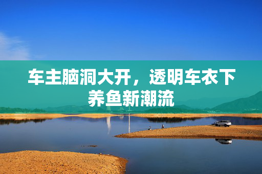 车主脑洞大开，透明车衣下养鱼新潮流