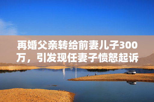再婚父亲转给前妻儿子300万，引发现任妻子愤怒起诉的背后故事