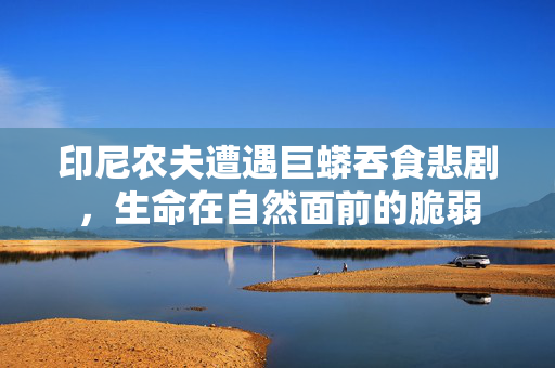 印尼农夫遭遇巨蟒吞食悲剧，生命在自然面前的脆弱