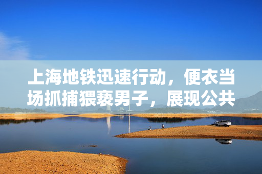 上海地铁迅速行动，便衣当场抓捕猥亵男子，展现公共交通治安新气象