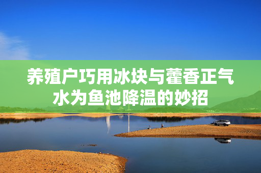 养殖户巧用冰块与藿香正气水为鱼池降温的妙招