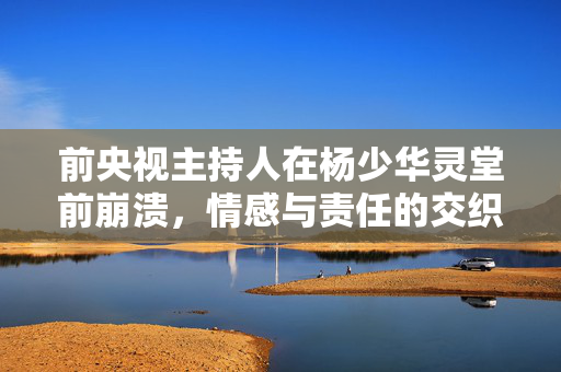 前央视主持人在杨少华灵堂前崩溃，情感与责任的交织