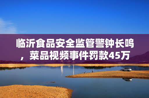 临沂食品安全监管警钟长鸣，菜品视频事件罚款45万