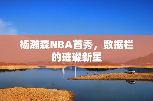 杨瀚森NBA首秀，数据栏的璀璨新星