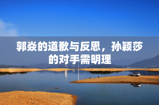 郭焱的道歉与反思，孙颖莎的对手需明理