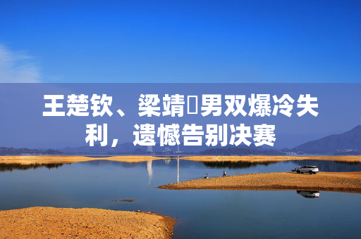 王楚钦、梁靖崑男双爆冷失利，遗憾告别决赛