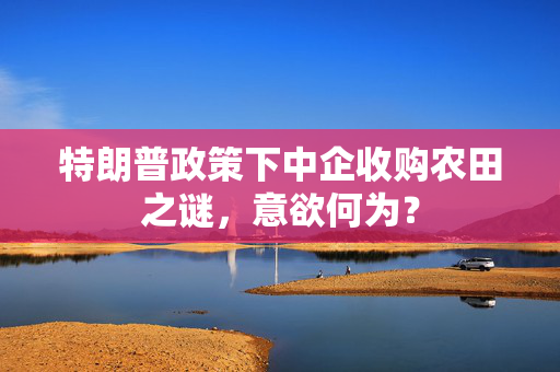 特朗普政策下中企收购农田之谜，意欲何为？