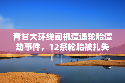 青甘大环线司机遭遇轮胎遭劫事件，12条轮胎被扎失窃