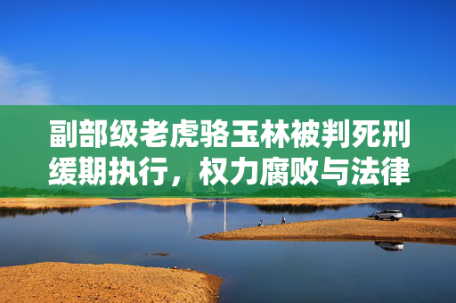 副部级老虎骆玉林被判死刑缓期执行，权力腐败与法律严惩的交织