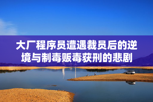 大厂程序员遭遇裁员后的逆境与制毒贩毒获刑的悲剧