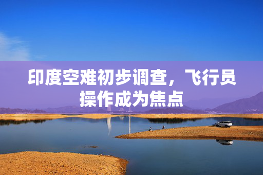 印度空难初步调查，飞行员操作成为焦点