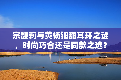 宗馥莉与黄杨钿甜耳环之谜，时尚巧合还是同款之选？