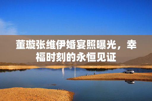 董璇张维伊婚宴照曝光，幸福时刻的永恒见证