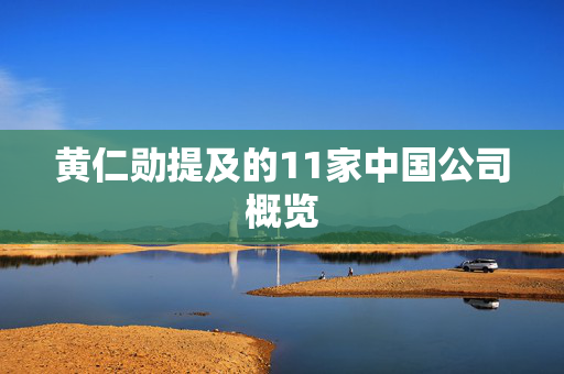黄仁勋提及的11家中国公司概览