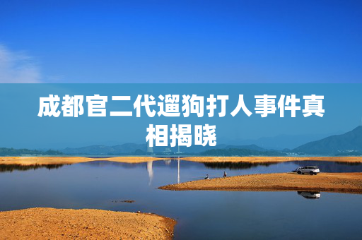 成都官二代遛狗打人事件真相揭晓