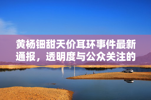黄杨钿甜天价耳环事件最新通报，透明度与公众关注的对话