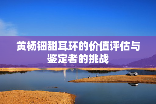 黄杨钿甜耳环的价值评估与鉴定者的挑战