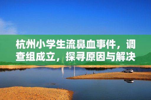 杭州小学生流鼻血事件，调查组成立，探寻原因与解决方案