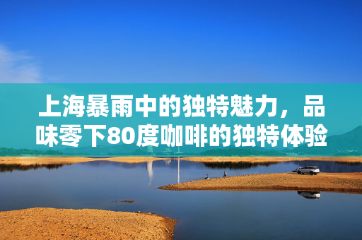 上海暴雨中的独特魅力，品味零下80度咖啡的独特体验