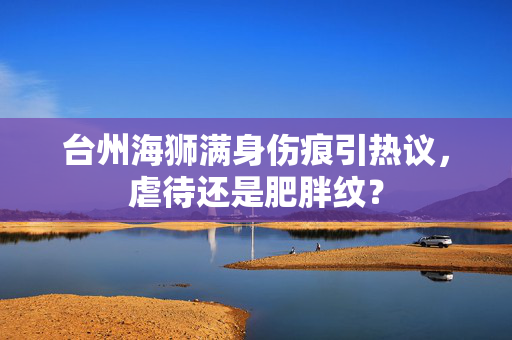 台州海狮满身伤痕引热议，虐待还是肥胖纹？