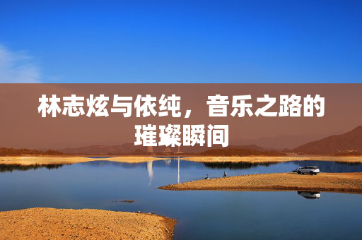 林志炫与依纯，音乐之路的璀璨瞬间