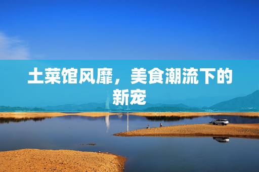 土菜馆风靡，美食潮流下的新宠