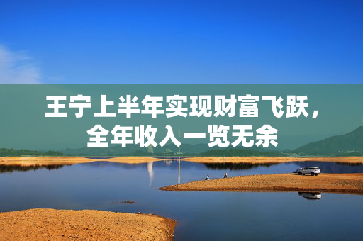 王宁上半年实现财富飞跃，全年收入一览无余