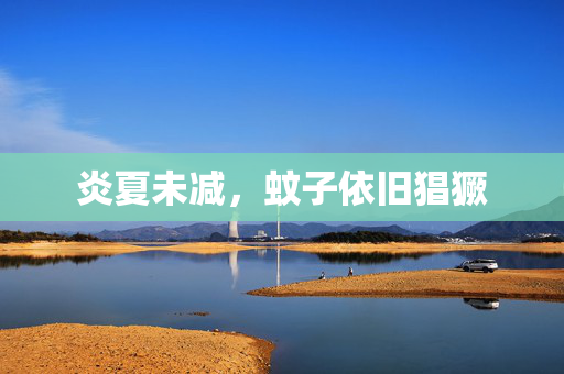 炎夏未减，蚊子依旧猖獗
