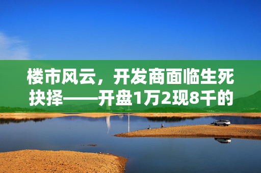 楼市风云，开发商面临生死抉择——开盘1万2现8千的背后
