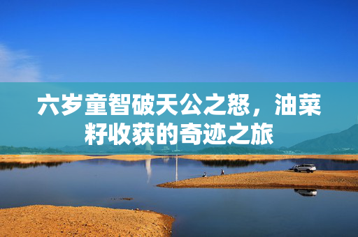 六岁童智破天公之怒，油菜籽收获的奇迹之旅