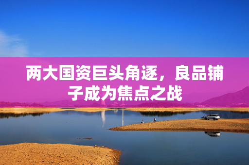 两大国资巨头角逐，良品铺子成为焦点之战
