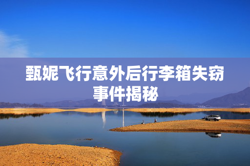 甄妮飞行意外后行李箱失窃事件揭秘