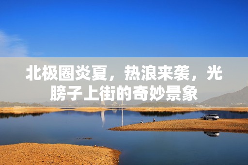 北极圈炎夏，热浪来袭，光膀子上街的奇妙景象