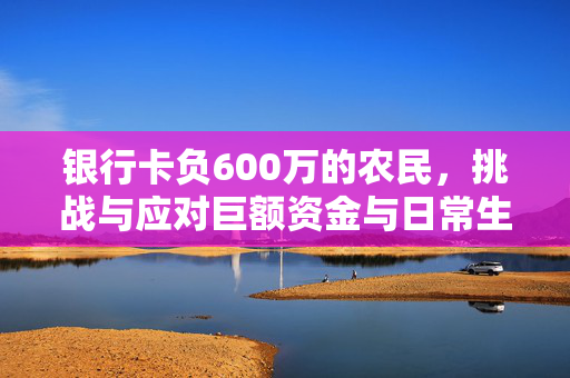 银行卡负600万的农民，挑战与应对巨额资金与日常生活的策略