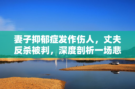 妻子抑郁症发作伤人，丈夫反杀被判，深度剖析一场悲剧的背后