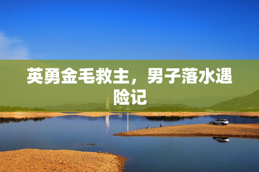 英勇金毛救主，男子落水遇险记