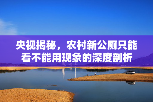 央视揭秘，农村新公厕只能看不能用现象的深度剖析