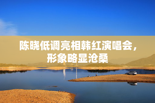 陈晓低调亮相韩红演唱会，形象略显沧桑