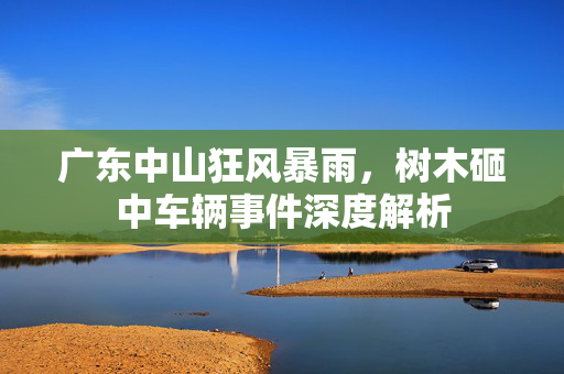 广东中山狂风暴雨，树木砸中车辆事件深度解析