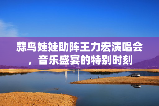 蒜鸟娃娃助阵王力宏演唱会，音乐盛宴的特别时刻