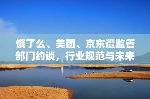 饿了么、美团、京东遭监管部门约谈，行业规范与未来展望
