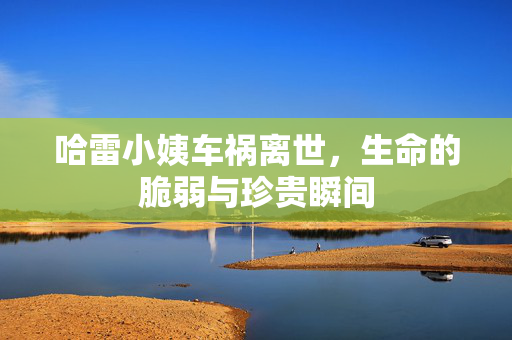 哈雷小姨车祸离世，生命的脆弱与珍贵瞬间