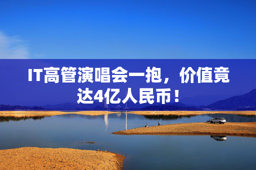 IT高管演唱会一抱，价值竟达4亿人民币！