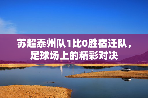 苏超泰州队1比0胜宿迁队，足球场上的精彩对决