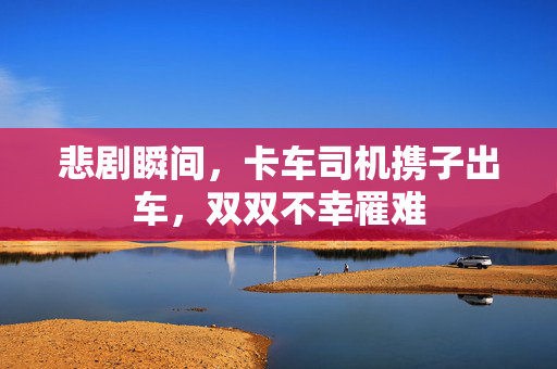 悲剧瞬间，卡车司机携子出车，双双不幸罹难