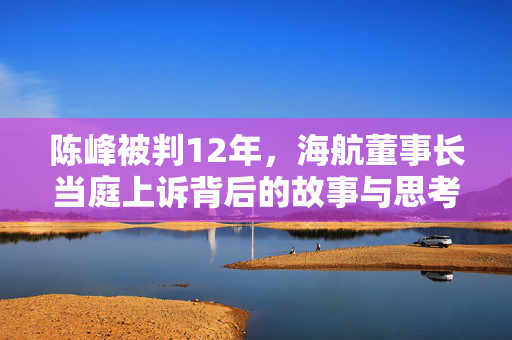 陈峰被判12年，海航董事长当庭上诉背后的故事与思考