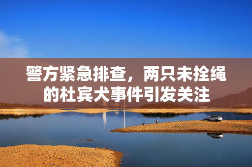 警方紧急排查，两只未拴绳的杜宾犬事件引发关注
