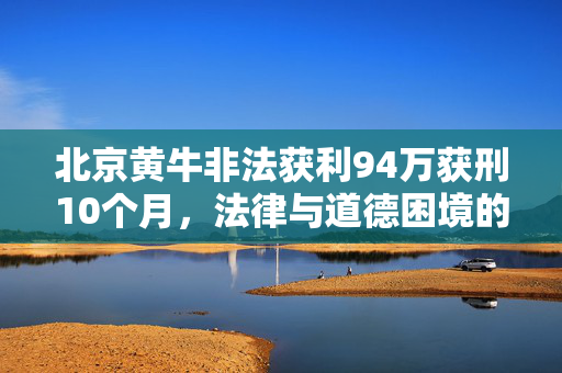 北京黄牛非法获利94万获刑10个月，法律与道德困境的反思