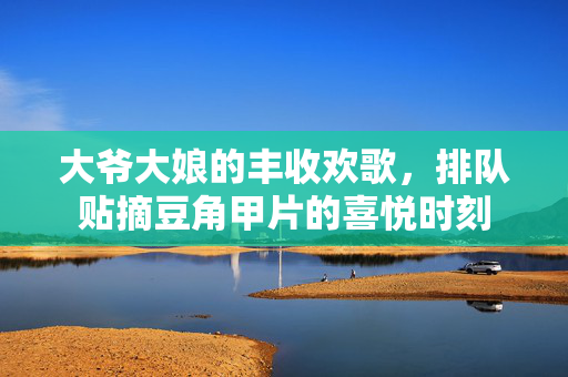 大爷大娘的丰收欢歌，排队贴摘豆角甲片的喜悦时刻