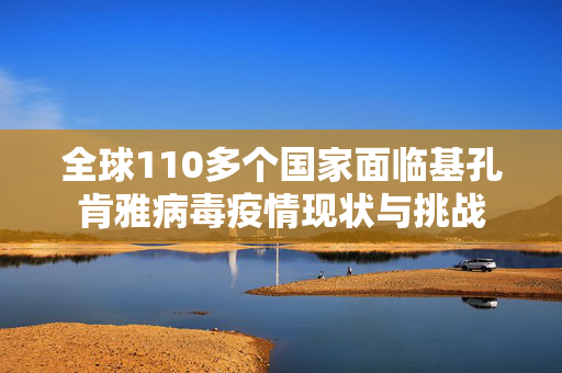 全球110多个国家面临基孔肯雅病毒疫情现状与挑战
